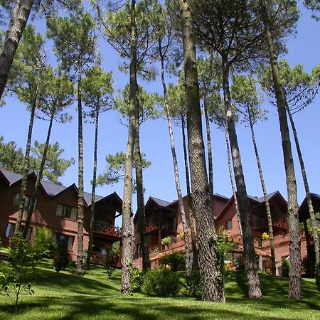 Refugio Del Bosque Villa Carilo Exteriör bild