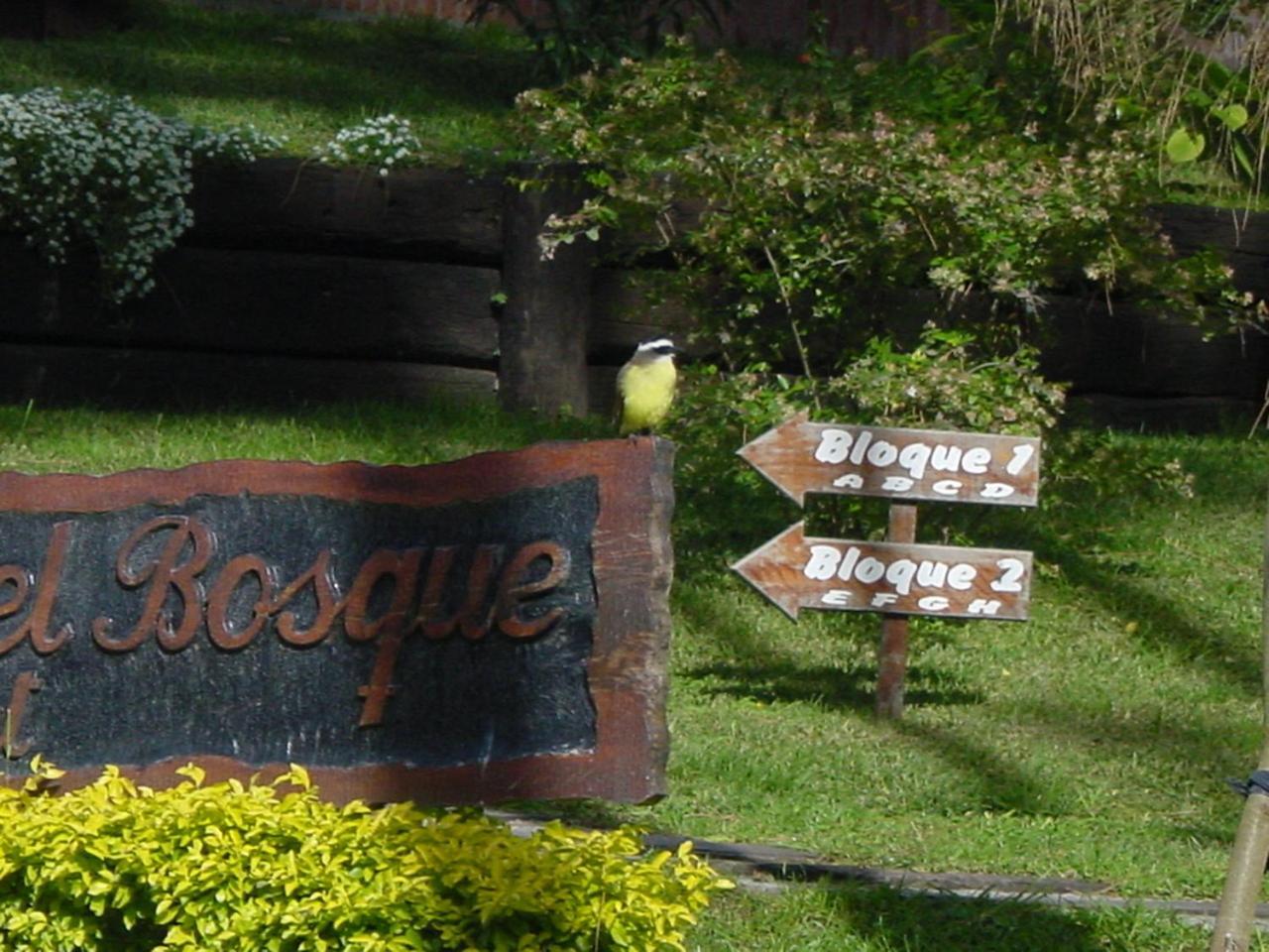 Refugio Del Bosque Villa Carilo Exteriör bild