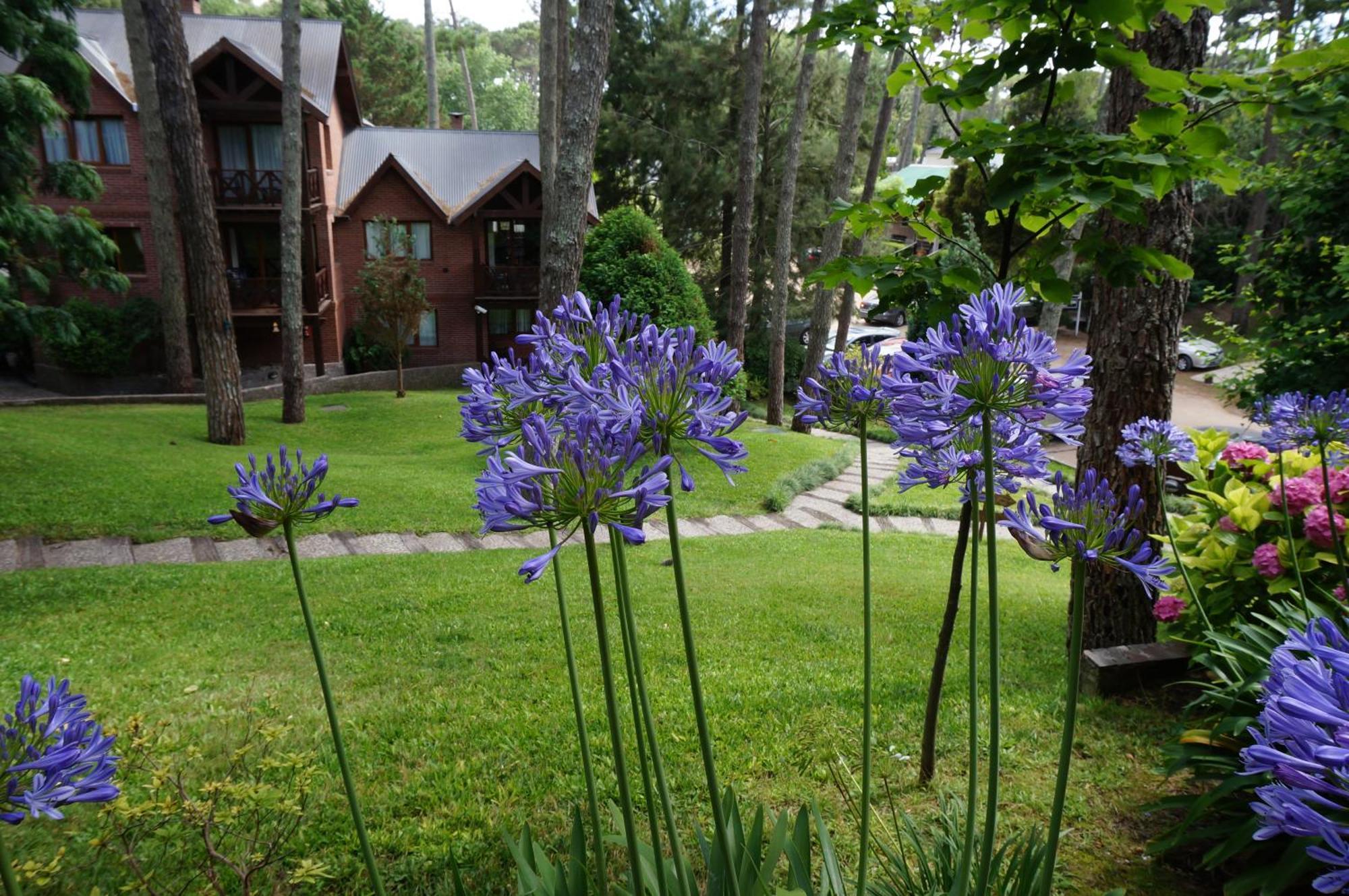 Refugio Del Bosque Villa Carilo Exteriör bild